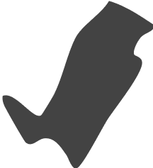 Rockdale County shape