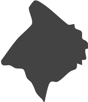 Newton County shape